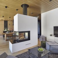 26-mammutti_kotikontti_1